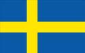 Swedish website translation Swedish website translation