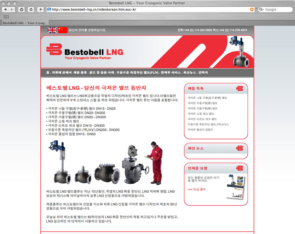 Korean website translation Korean website translation